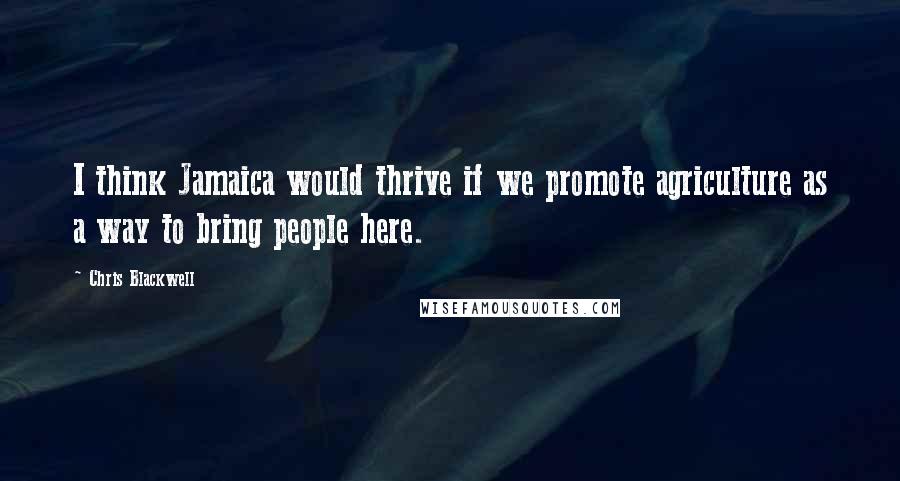 Chris Blackwell Quotes: I think Jamaica would thrive if we promote agriculture as a way to bring people here.
