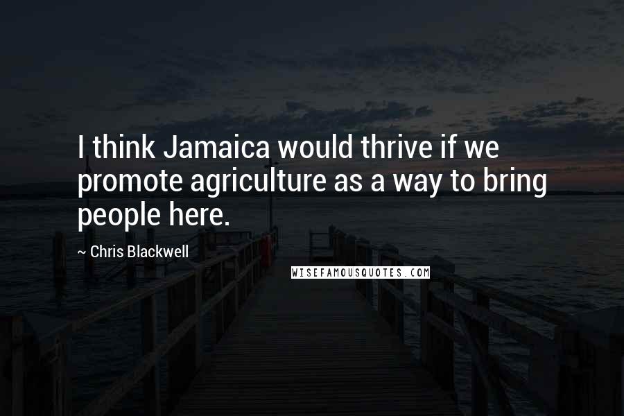 Chris Blackwell Quotes: I think Jamaica would thrive if we promote agriculture as a way to bring people here.