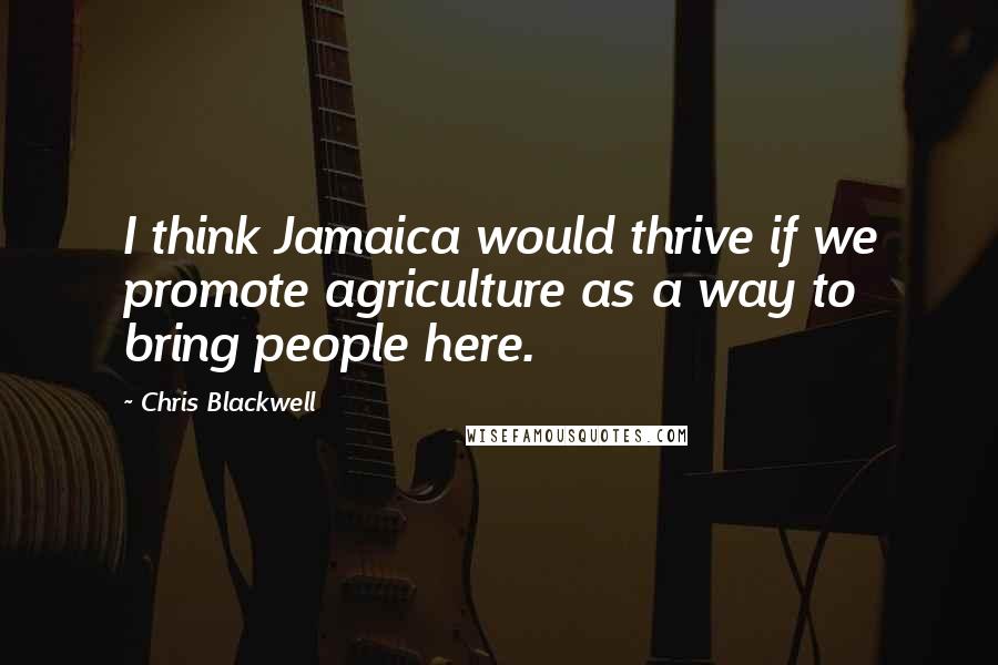 Chris Blackwell Quotes: I think Jamaica would thrive if we promote agriculture as a way to bring people here.