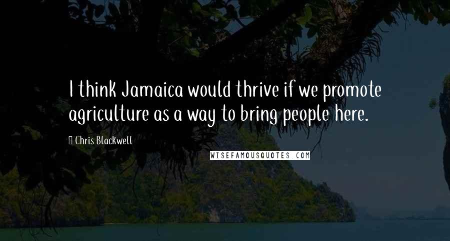 Chris Blackwell Quotes: I think Jamaica would thrive if we promote agriculture as a way to bring people here.