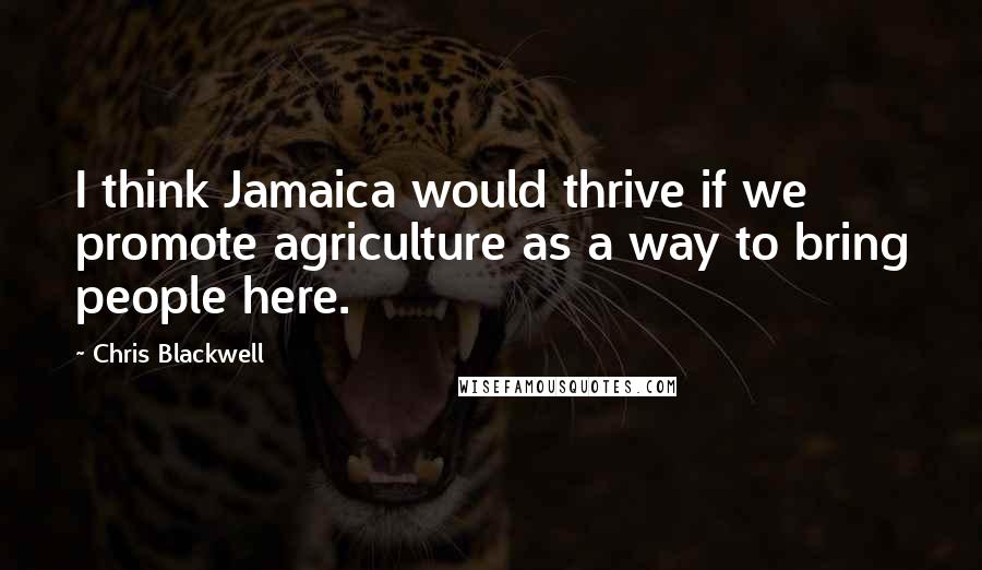 Chris Blackwell Quotes: I think Jamaica would thrive if we promote agriculture as a way to bring people here.
