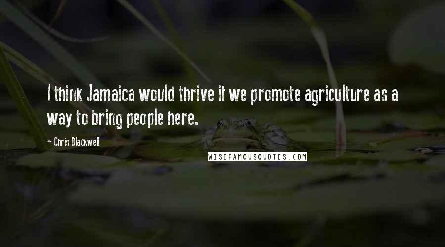 Chris Blackwell Quotes: I think Jamaica would thrive if we promote agriculture as a way to bring people here.