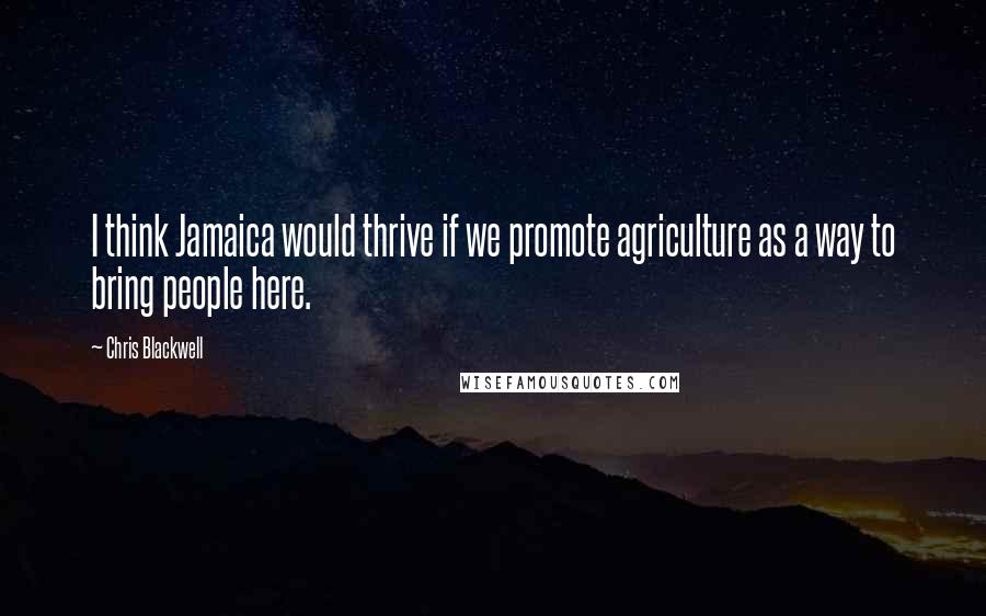Chris Blackwell Quotes: I think Jamaica would thrive if we promote agriculture as a way to bring people here.