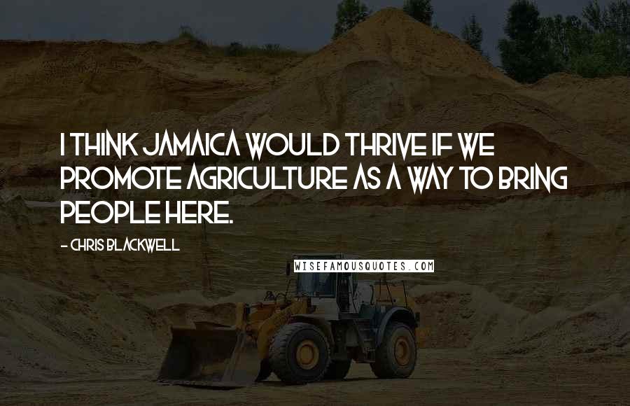 Chris Blackwell Quotes: I think Jamaica would thrive if we promote agriculture as a way to bring people here.