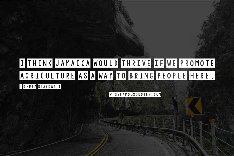 Chris Blackwell Quotes: I think Jamaica would thrive if we promote agriculture as a way to bring people here.
