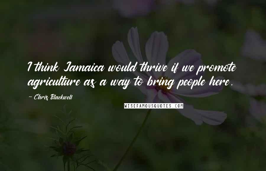 Chris Blackwell Quotes: I think Jamaica would thrive if we promote agriculture as a way to bring people here.