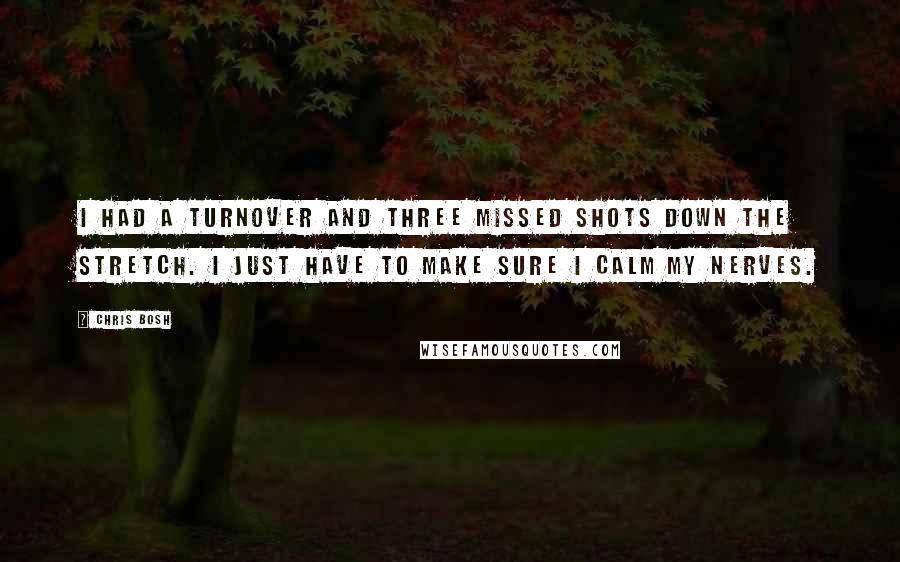 Chris Bosh Quotes: I had a turnover and three missed shots down the stretch. I just have to make sure I calm my nerves.