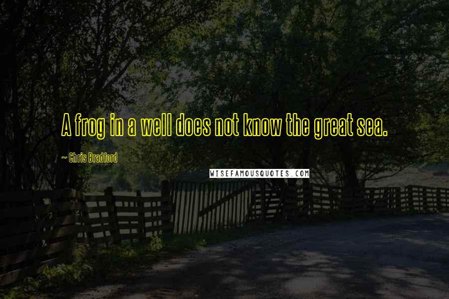 Chris Bradford Quotes: A frog in a well does not know the great sea.