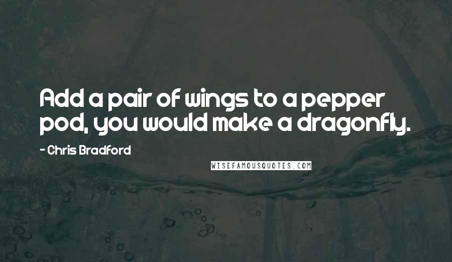 Chris Bradford Quotes: Add a pair of wings to a pepper pod, you would make a dragonfly.