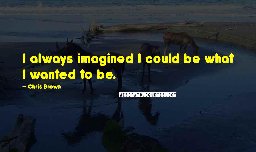 Chris Brown Quotes: I always imagined I could be what I wanted to be.