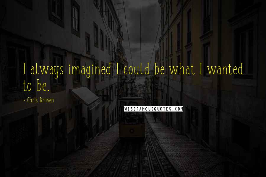 Chris Brown Quotes: I always imagined I could be what I wanted to be.