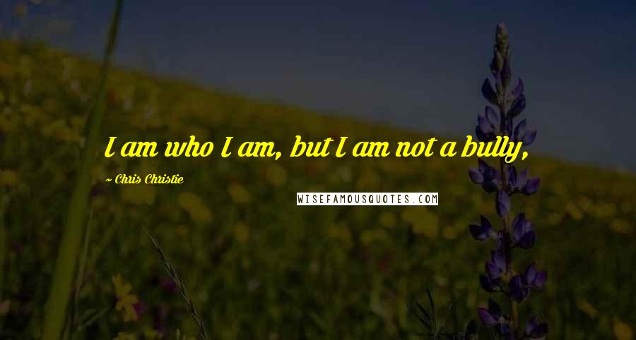 Chris Christie Quotes: I am who I am, but I am not a bully,