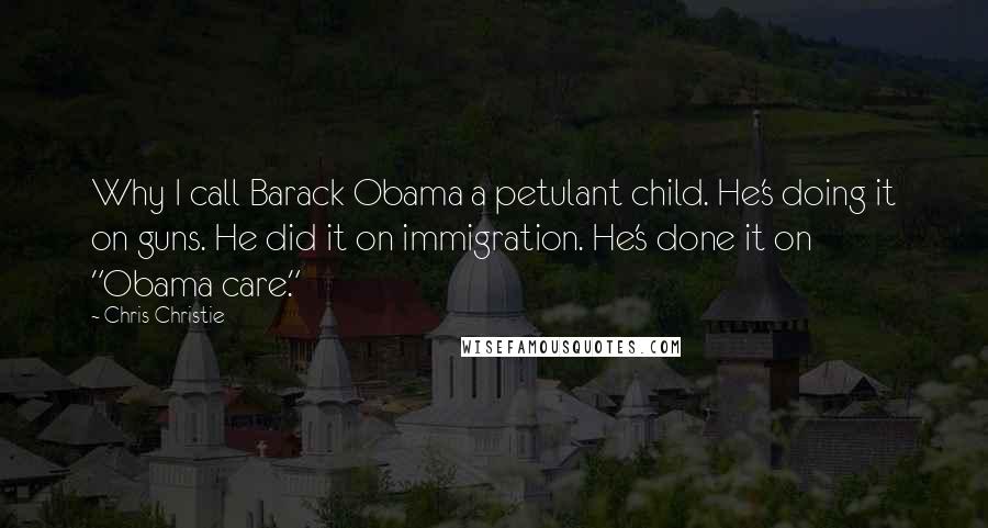 Chris Christie Quotes: Why I call Barack Obama a petulant child. He's doing it on guns. He did it on immigration. He's done it on "Obama care."