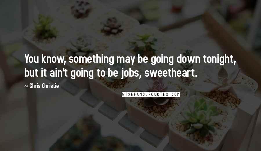 Chris Christie Quotes: You know, something may be going down tonight, but it ain't going to be jobs, sweetheart.