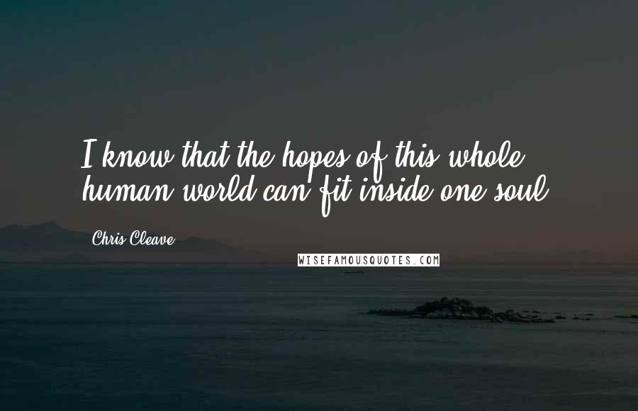 Chris Cleave Quotes: I know that the hopes of this whole human world can fit inside one soul.