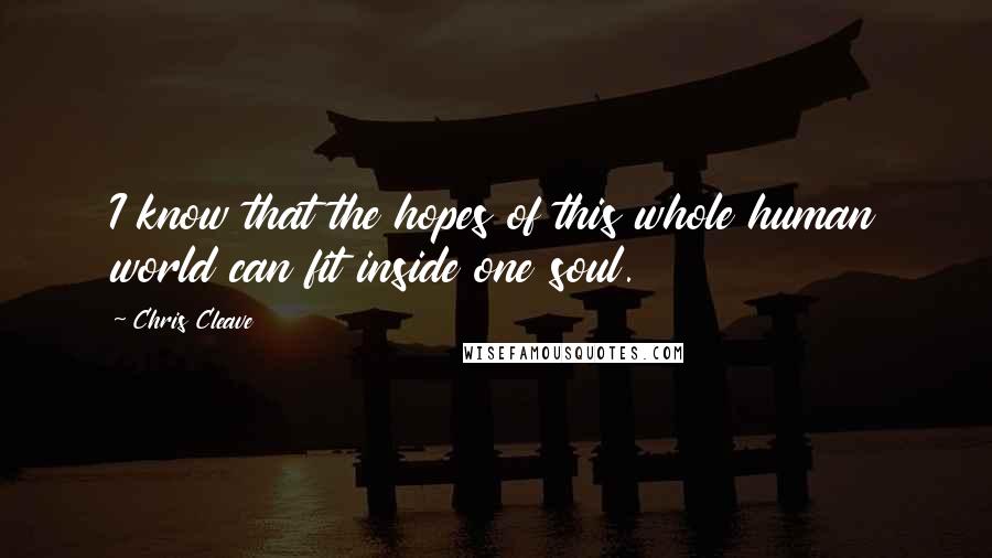 Chris Cleave Quotes: I know that the hopes of this whole human world can fit inside one soul.