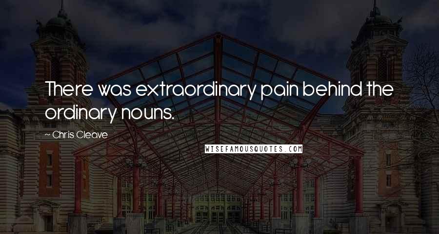 Chris Cleave Quotes: There was extraordinary pain behind the ordinary nouns.