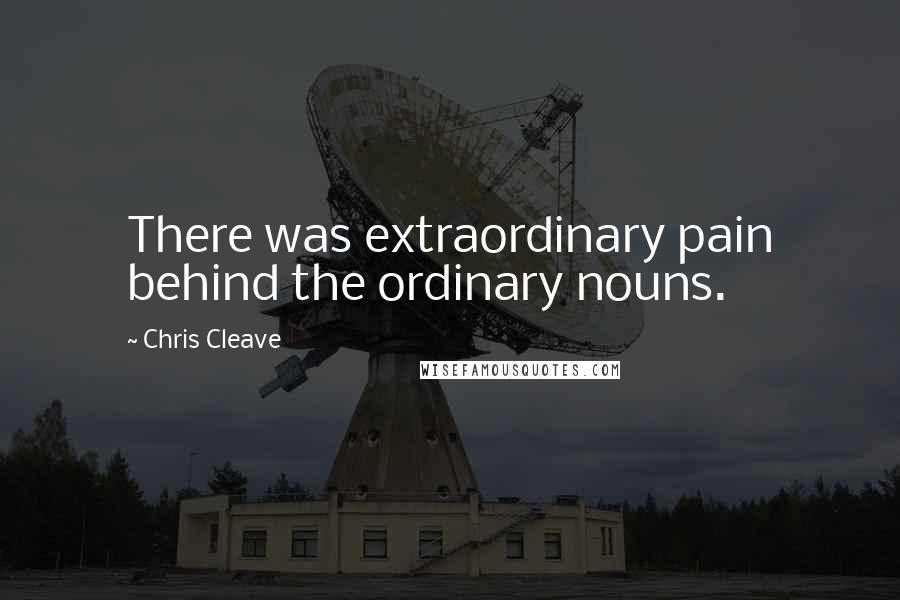 Chris Cleave Quotes: There was extraordinary pain behind the ordinary nouns.