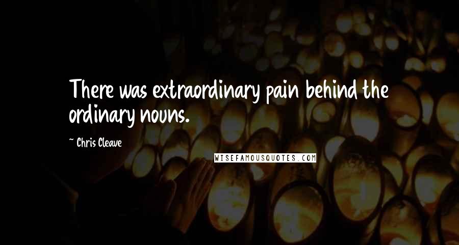 Chris Cleave Quotes: There was extraordinary pain behind the ordinary nouns.