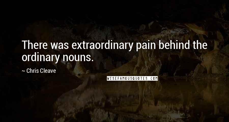 Chris Cleave Quotes: There was extraordinary pain behind the ordinary nouns.