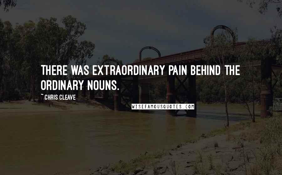 Chris Cleave Quotes: There was extraordinary pain behind the ordinary nouns.