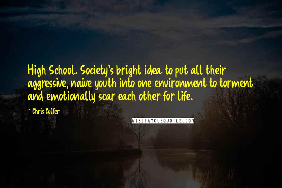 Chris Colfer Quotes: High School. Society's bright idea to put all their aggressive, naive youth into one environment to torment and emotionally scar each other for life.