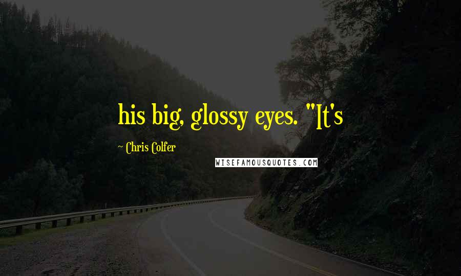 Chris Colfer Quotes: his big, glossy eyes. "It's