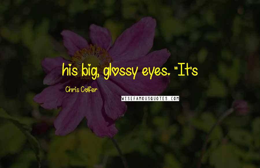 Chris Colfer Quotes: his big, glossy eyes. "It's