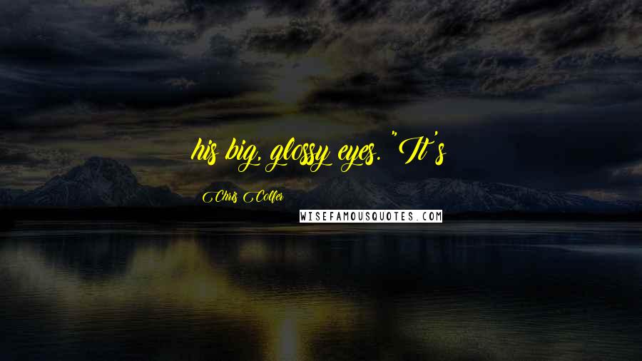 Chris Colfer Quotes: his big, glossy eyes. "It's