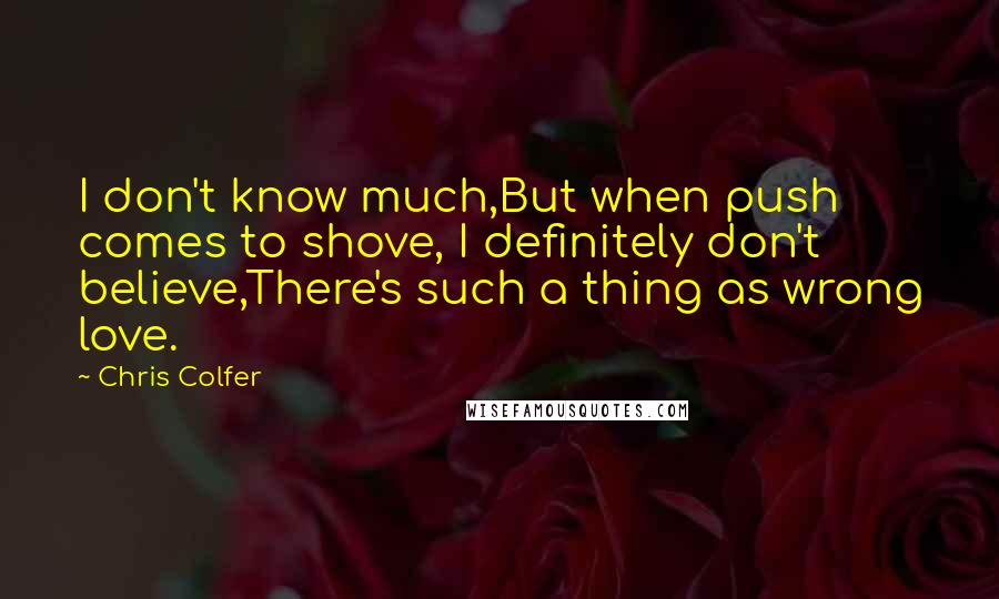 Chris Colfer Quotes: I don't know much,But when push comes to shove, I definitely don't believe,There's such a thing as wrong love.