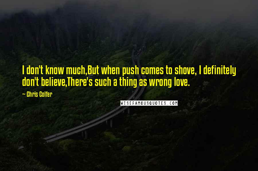 Chris Colfer Quotes: I don't know much,But when push comes to shove, I definitely don't believe,There's such a thing as wrong love.