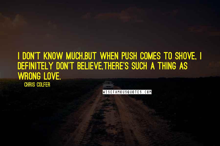 Chris Colfer Quotes: I don't know much,But when push comes to shove, I definitely don't believe,There's such a thing as wrong love.
