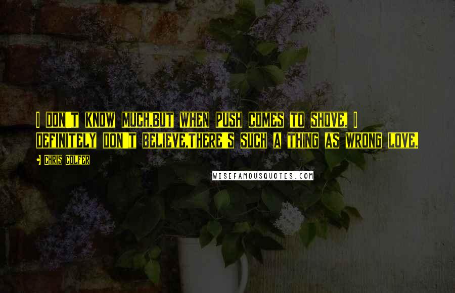 Chris Colfer Quotes: I don't know much,But when push comes to shove, I definitely don't believe,There's such a thing as wrong love.