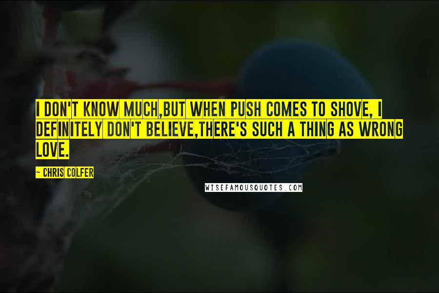 Chris Colfer Quotes: I don't know much,But when push comes to shove, I definitely don't believe,There's such a thing as wrong love.