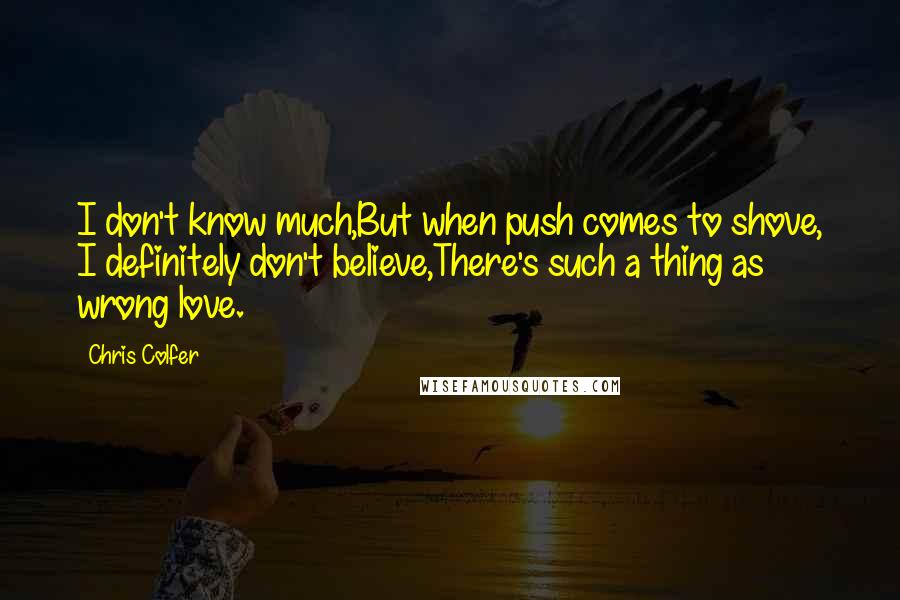 Chris Colfer Quotes: I don't know much,But when push comes to shove, I definitely don't believe,There's such a thing as wrong love.