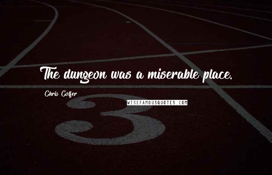 Chris Colfer Quotes: The dungeon was a miserable place.