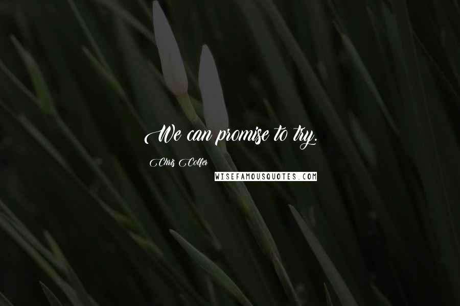 Chris Colfer Quotes: We can promise to try.
