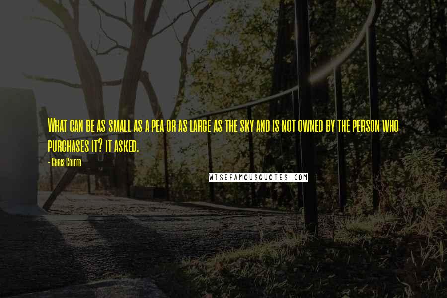 Chris Colfer Quotes: What can be as small as a pea or as large as the sky and is not owned by the person who purchases it? it asked.