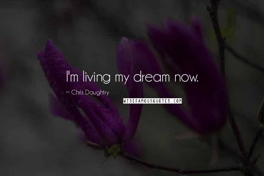 Chris Daughtry Quotes: I'm living my dream now.