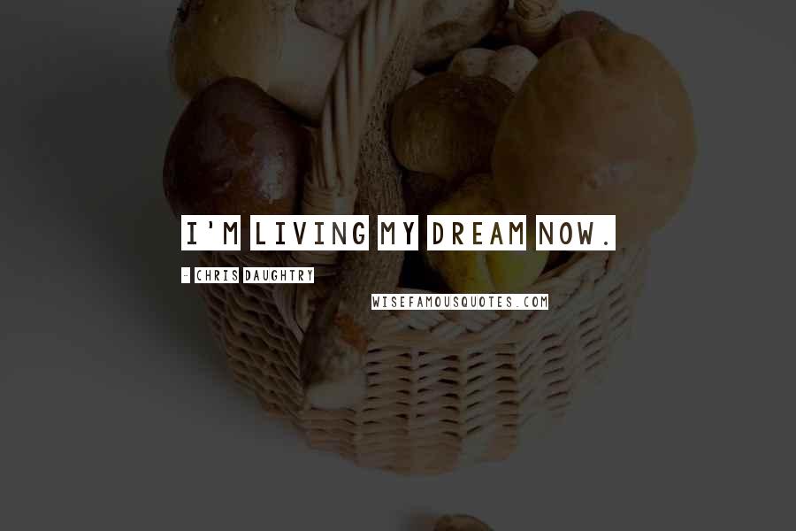 Chris Daughtry Quotes: I'm living my dream now.