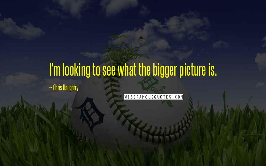 Chris Daughtry Quotes: I'm looking to see what the bigger picture is.