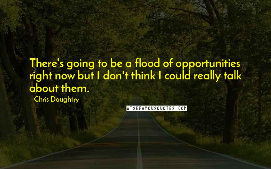 Chris Daughtry Quotes: There's going to be a flood of opportunities right now but I don't think I could really talk about them.