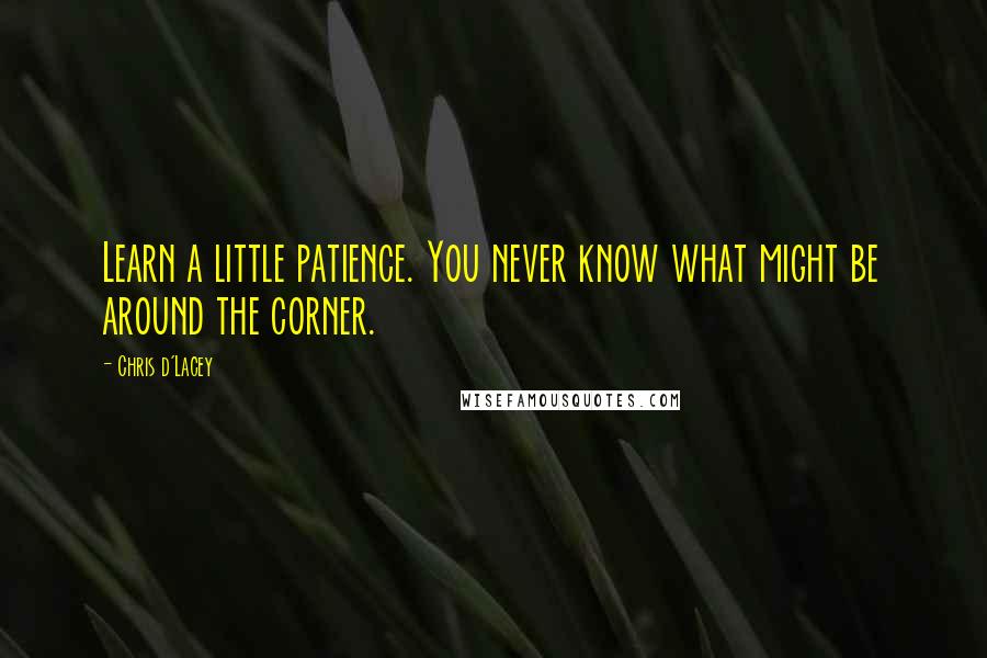 Chris D'Lacey Quotes: Learn a little patience. You never know what might be around the corner.