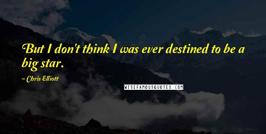 Chris Elliott Quotes: But I don't think I was ever destined to be a big star.