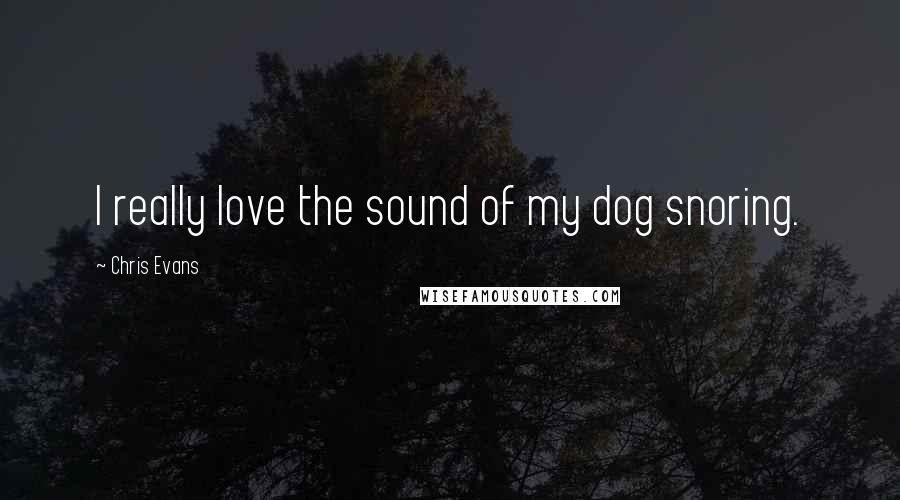 Chris Evans Quotes: I really love the sound of my dog snoring.