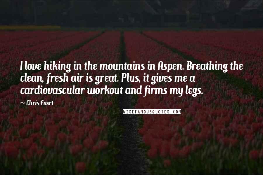 Chris Evert Quotes: I love hiking in the mountains in Aspen. Breathing the clean, fresh air is great. Plus, it gives me a cardiovascular workout and firms my legs.
