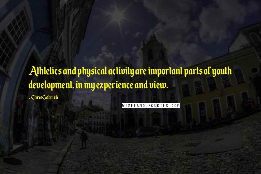 Chris Gabrieli Quotes: Athletics and physical activity are important parts of youth development, in my experience and view.