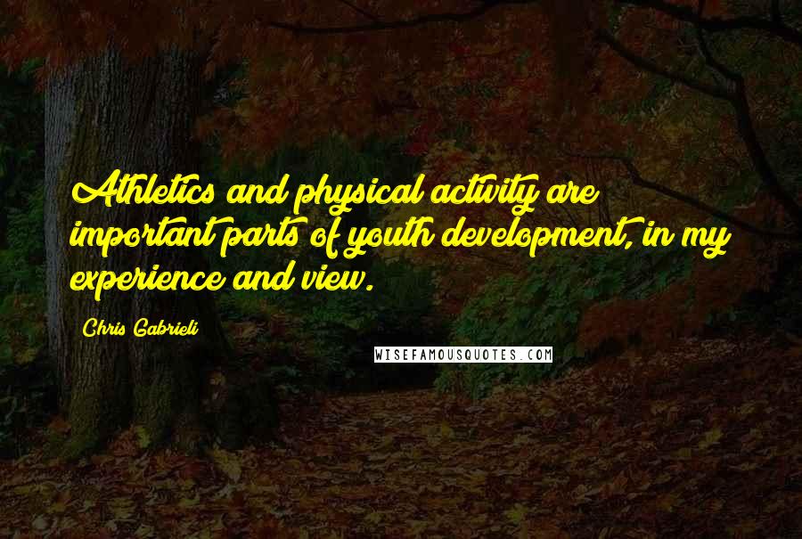 Chris Gabrieli Quotes: Athletics and physical activity are important parts of youth development, in my experience and view.