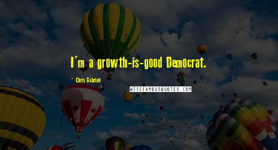 Chris Gabrieli Quotes: I'm a growth-is-good Democrat.