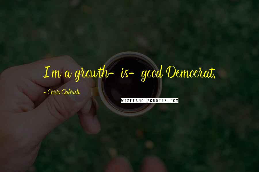 Chris Gabrieli Quotes: I'm a growth-is-good Democrat.